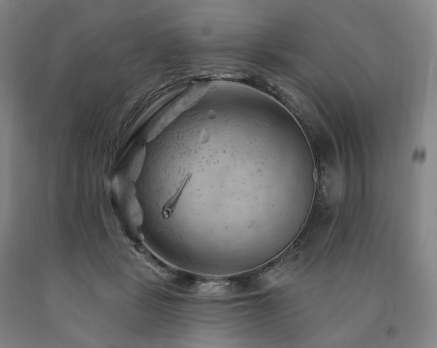 X0000090890461200707271336