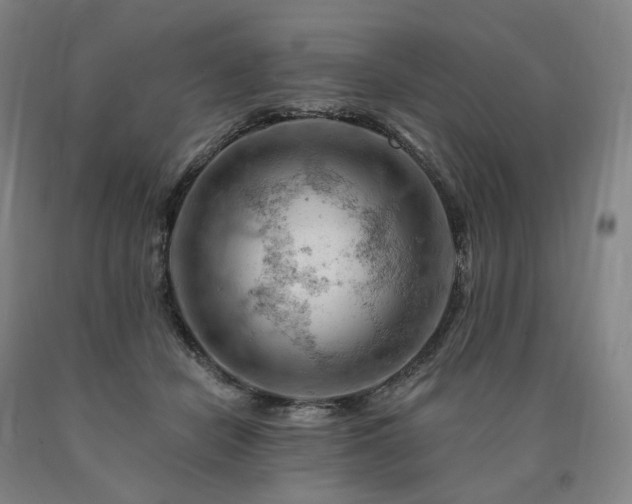 X0000090890462200707271336