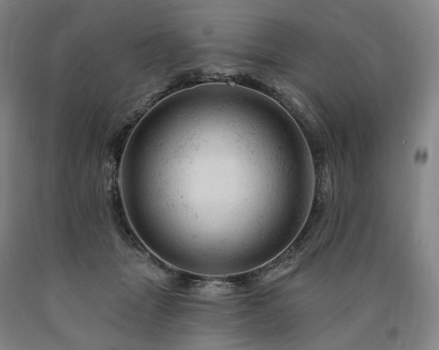 X0000090890463200707271336