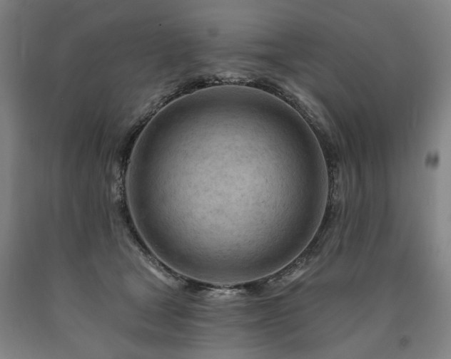 X0000090890465200707271336