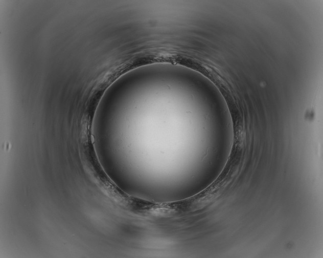 X0000090890468200707271336