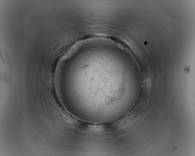 X0000090890469200707271336