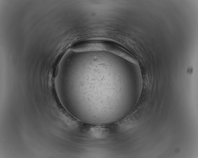 X0000090890470200707271336