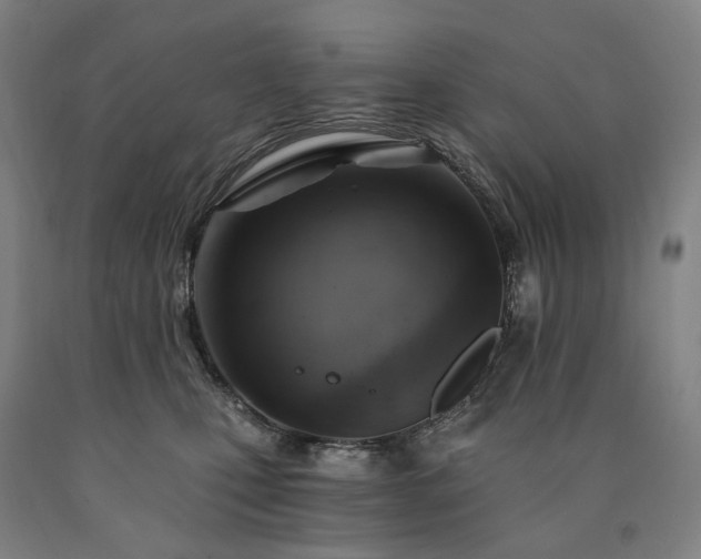 X0000090890471200707271336