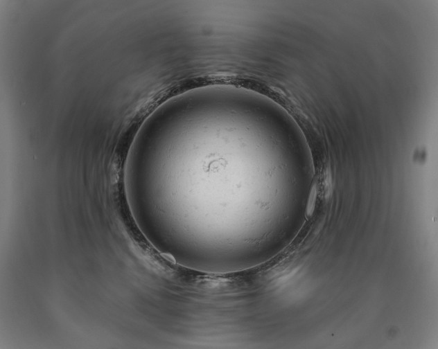 X0000090890472200707271336