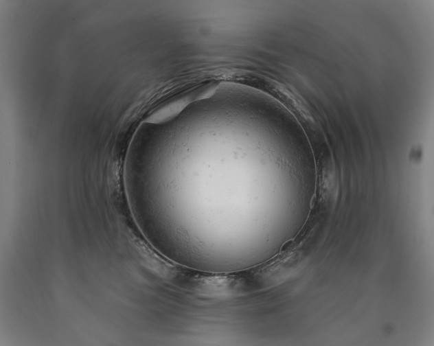 X0000090890473200707271336