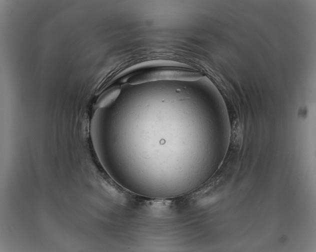 X0000090890474200707271336