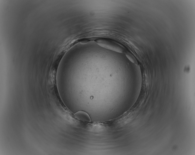 X0000090890475200707271336