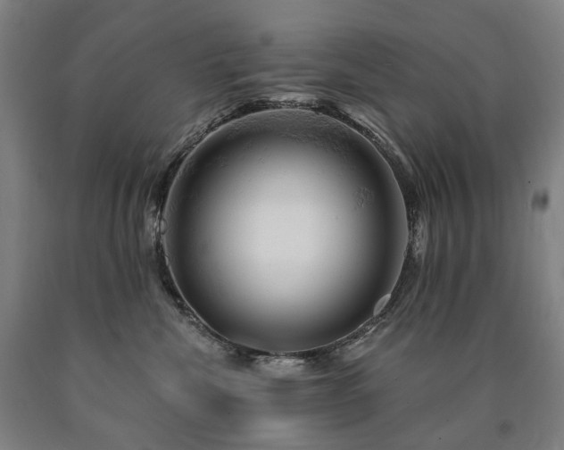 X0000090890476200707271336