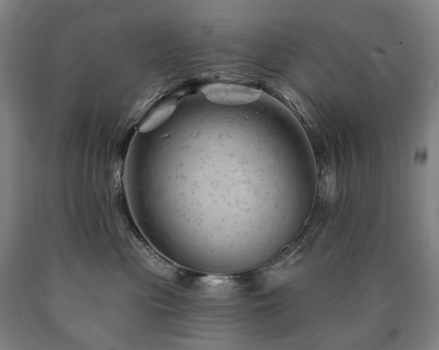 X0000090890477200707271336