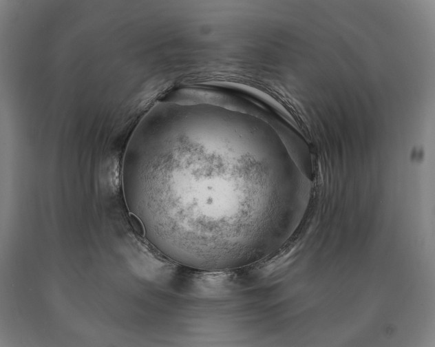 X0000090890479200707271336