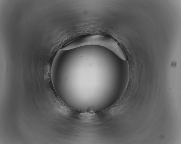 X0000090890480200707271336