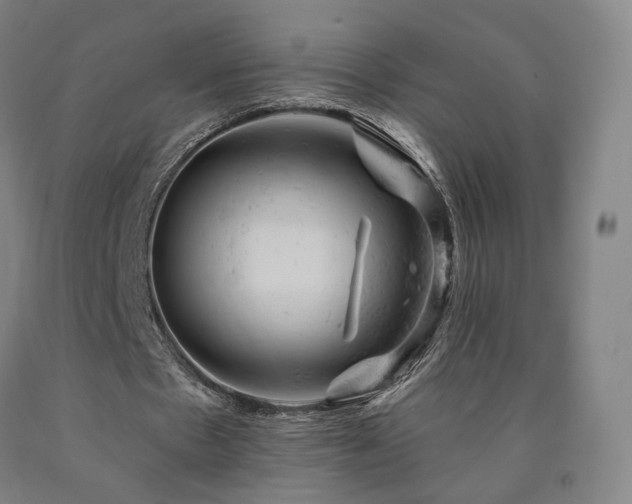 X0000090890481200707271335