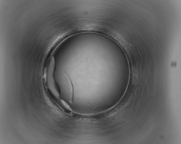 X0000090890482200707271335