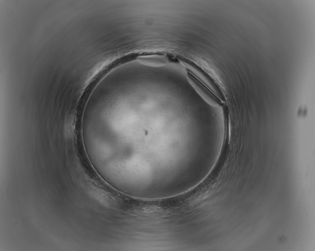 X0000090890483200707271335