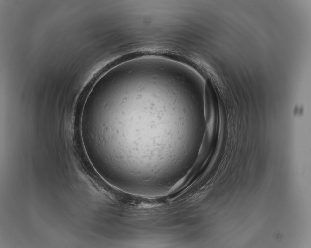 X0000090890484200707271335