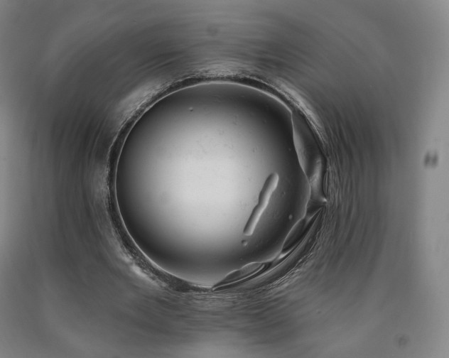 X0000090890485200707271335