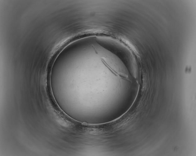 X0000090890486200707271335