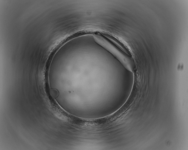 X0000090890487200707271335