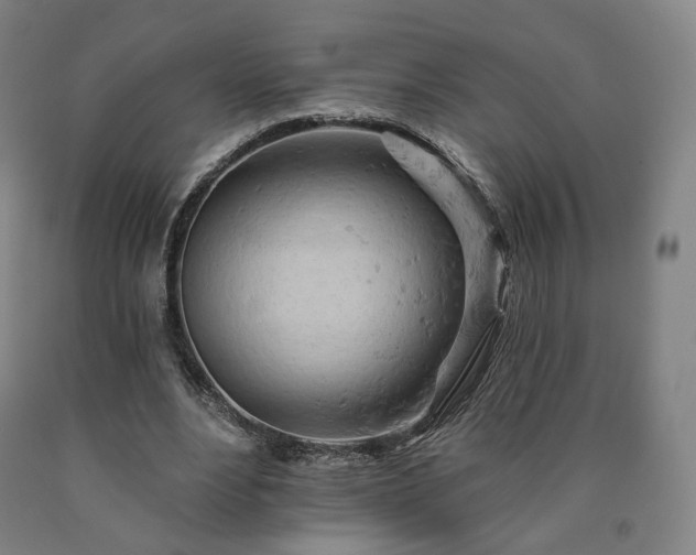 X0000090890488200707271335