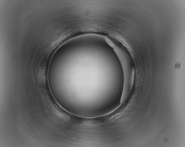 X0000090890489200707271335