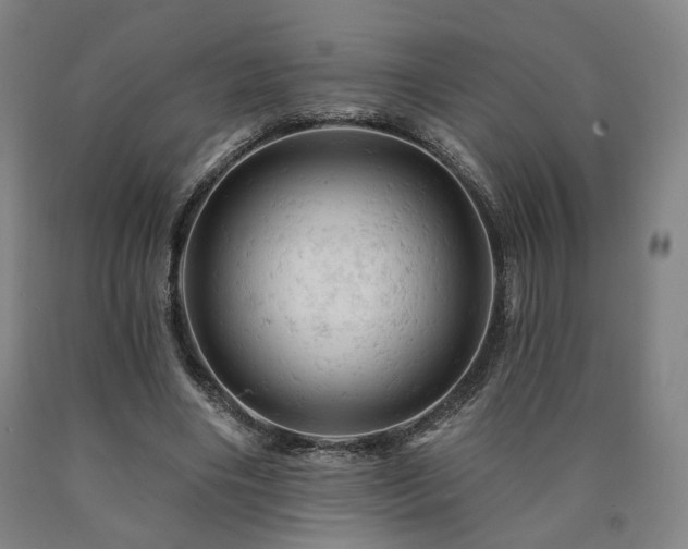 X0000090890490200707271335