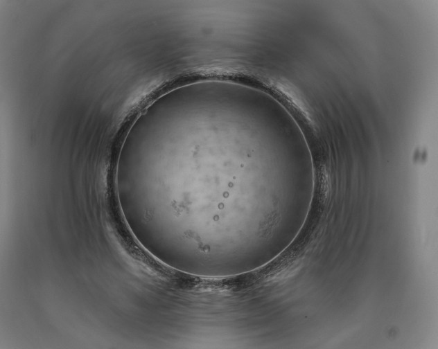 X0000090890491200707271335