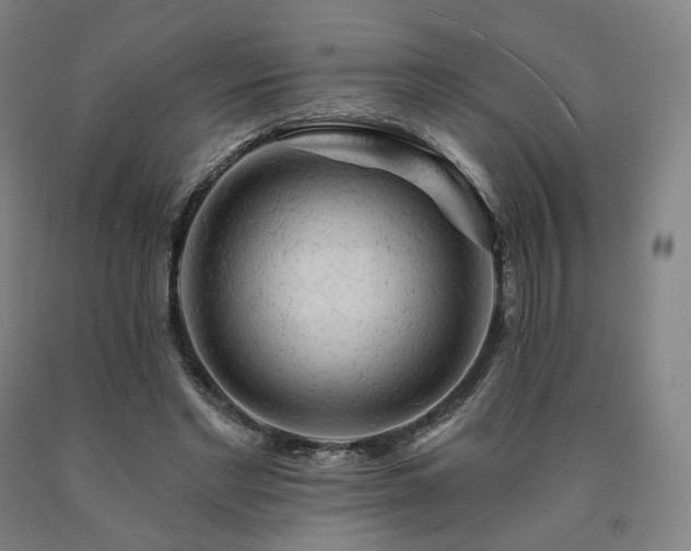 X0000090890493200707271335