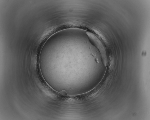 X0000090890494200707271335