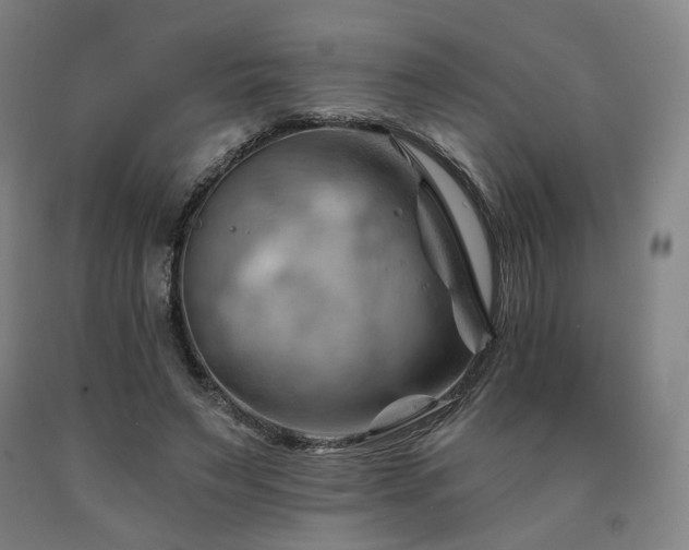 X0000090890495200707271335