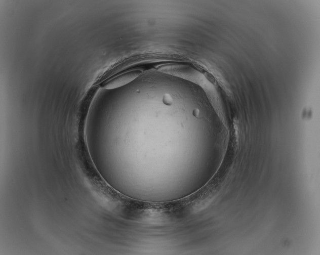 X0000090890496200707271335