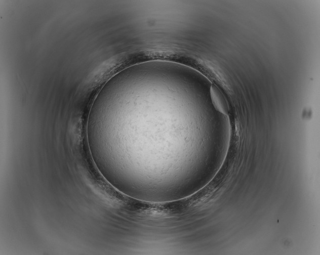 X0000090890498200707271335