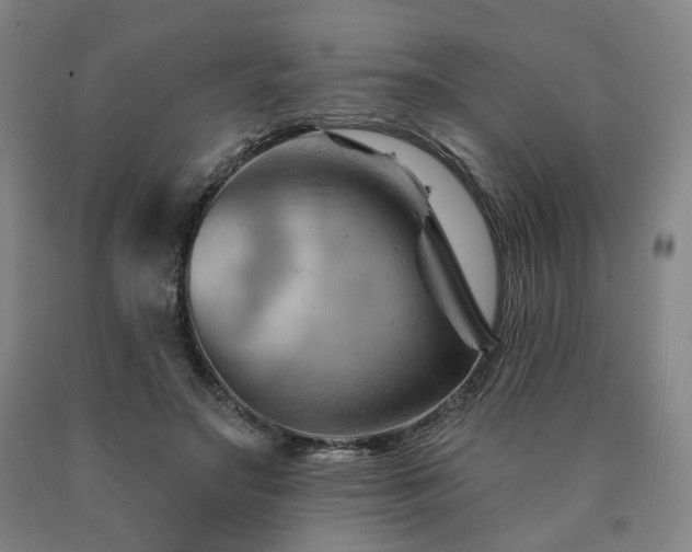 X0000090890499200707271335