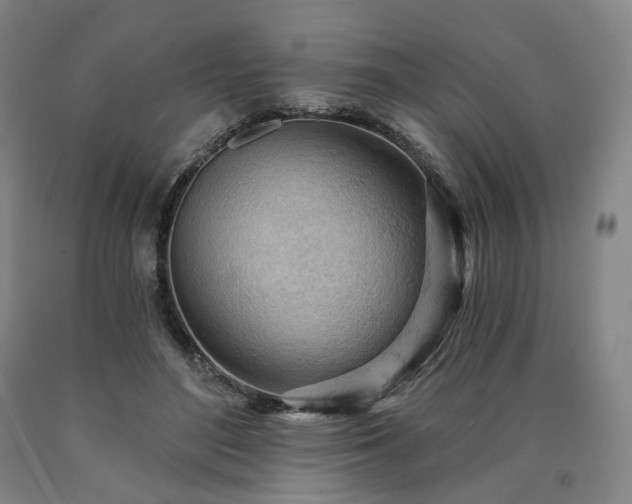 X0000090890500200707271335