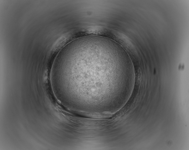 X0000090890502200707271335