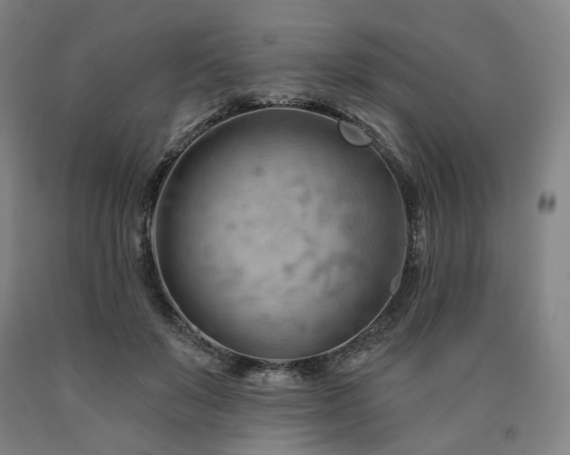 X0000090890503200707271335