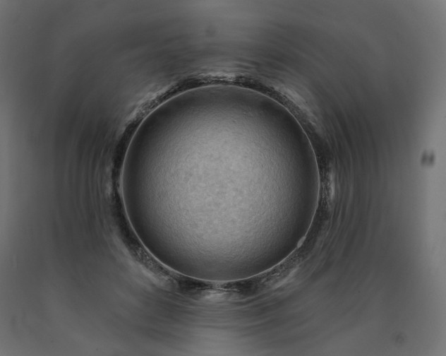 X0000090890504200707271335