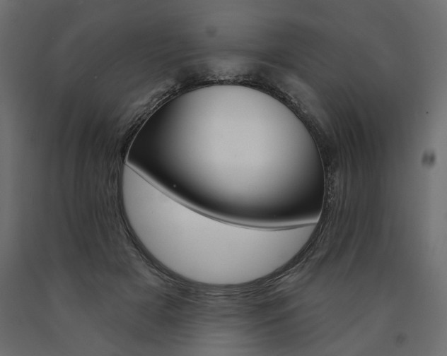 X0000090890505200707271335