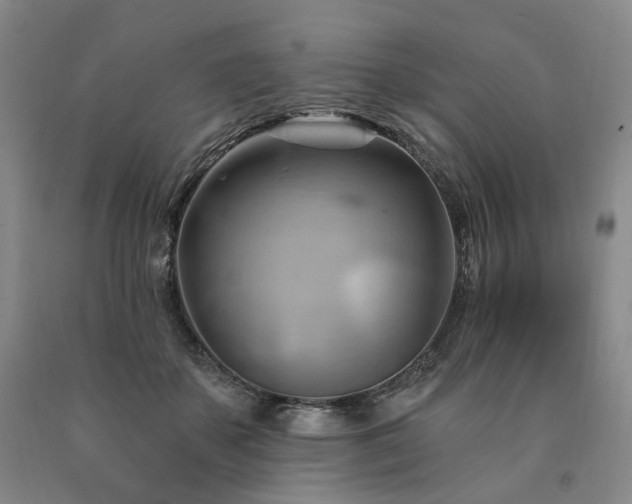 X0000090890507200707271335