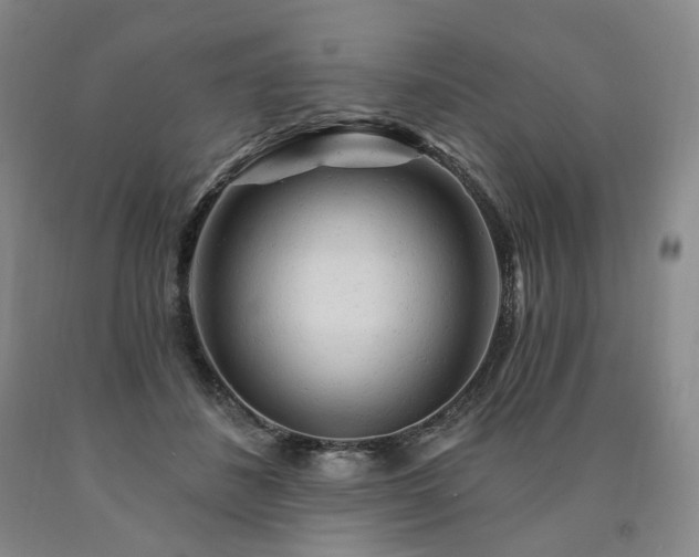 X0000090890508200707271335