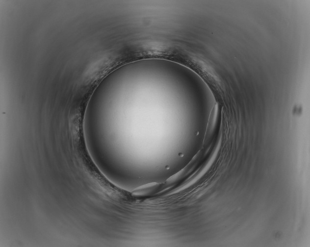 X0000090890509200707271335