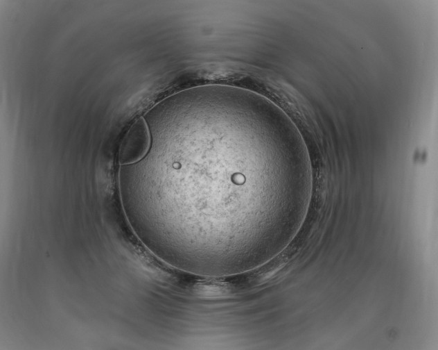 X0000090890510200707271335