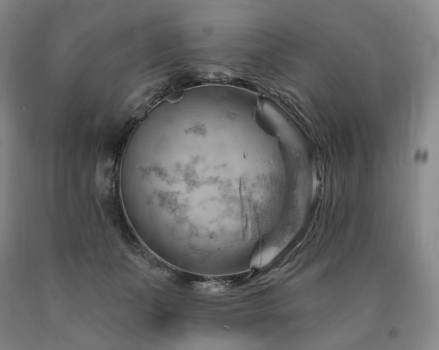 X0000090890511200707271335