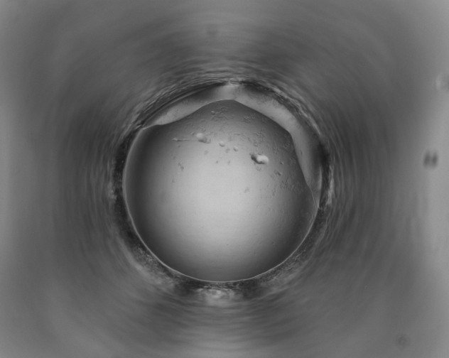 X0000090890512200707271335