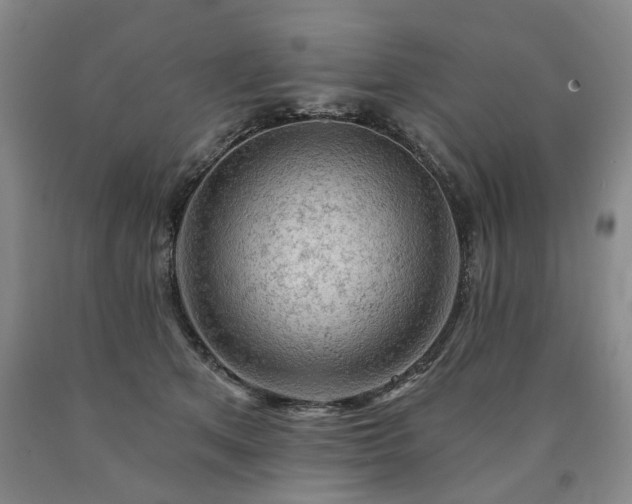 X0000090890513200707271335