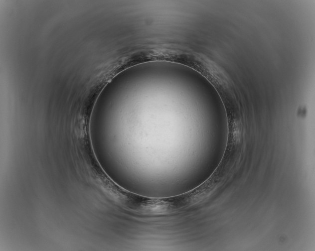 X0000090890514200707271335