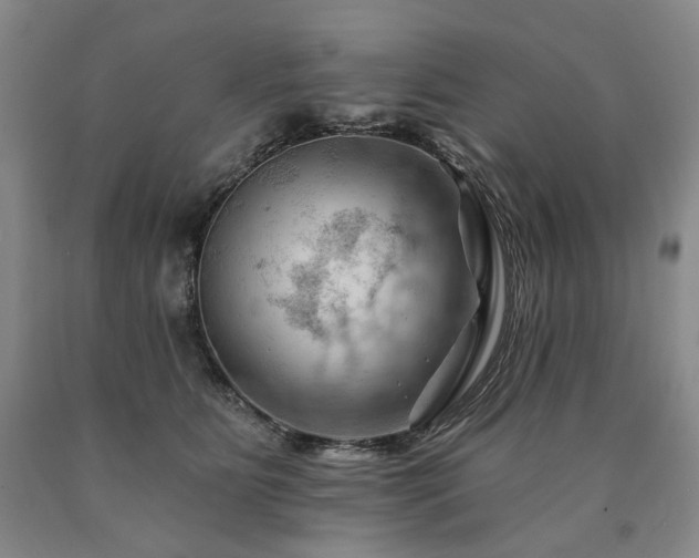 X0000090890515200707271335