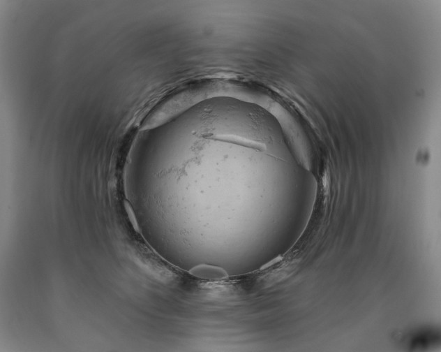 X0000090890516200707271335