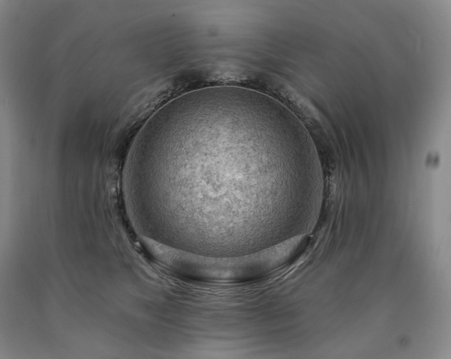 X0000090890517200707271335