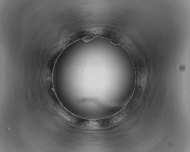 X0000090890518200707271335